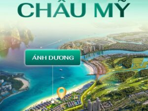 z7744087491746 ffdd049242932f052d4db3d71e6de3f3